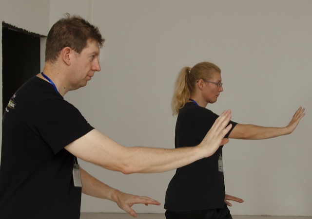 Tai Chi — Foshan 2018 archive photograph — no 79