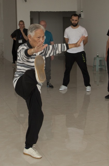Tai Chi — Foshan 2018 archive photograph — no 89